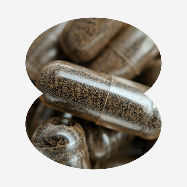 BESTVITE Vitamin B-2 (Riboflavin) 100mg (240 Veg Caps) - No Stearates