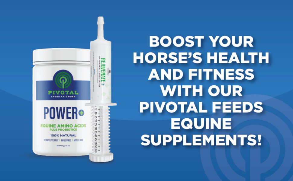 Pivotal Feeds Equine Total Recovery Supplement, 100 Servings
