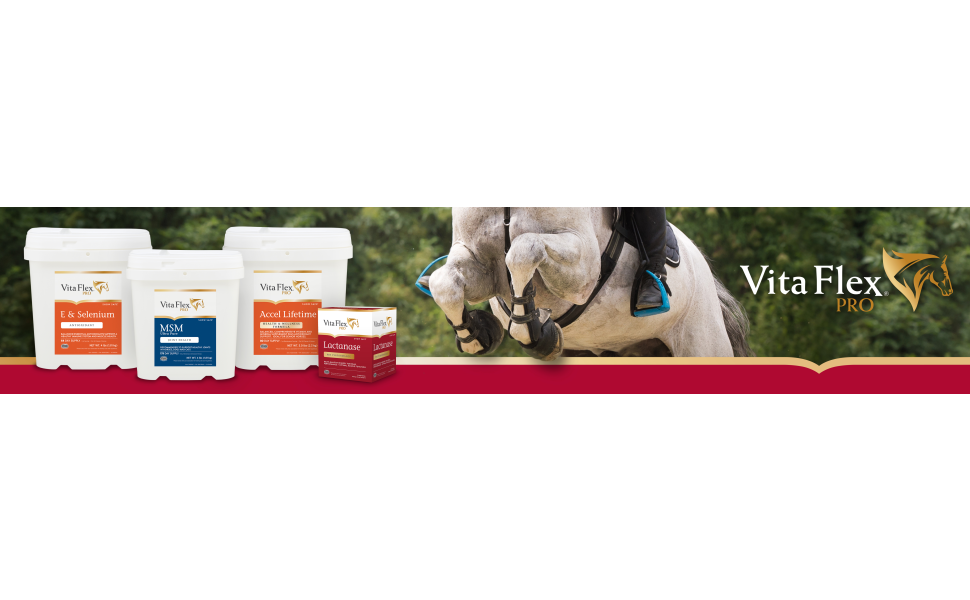 Vita Flex Pro DMG 3000 Horse DMG Concentrate, 4 lbs, 128-Day Supply