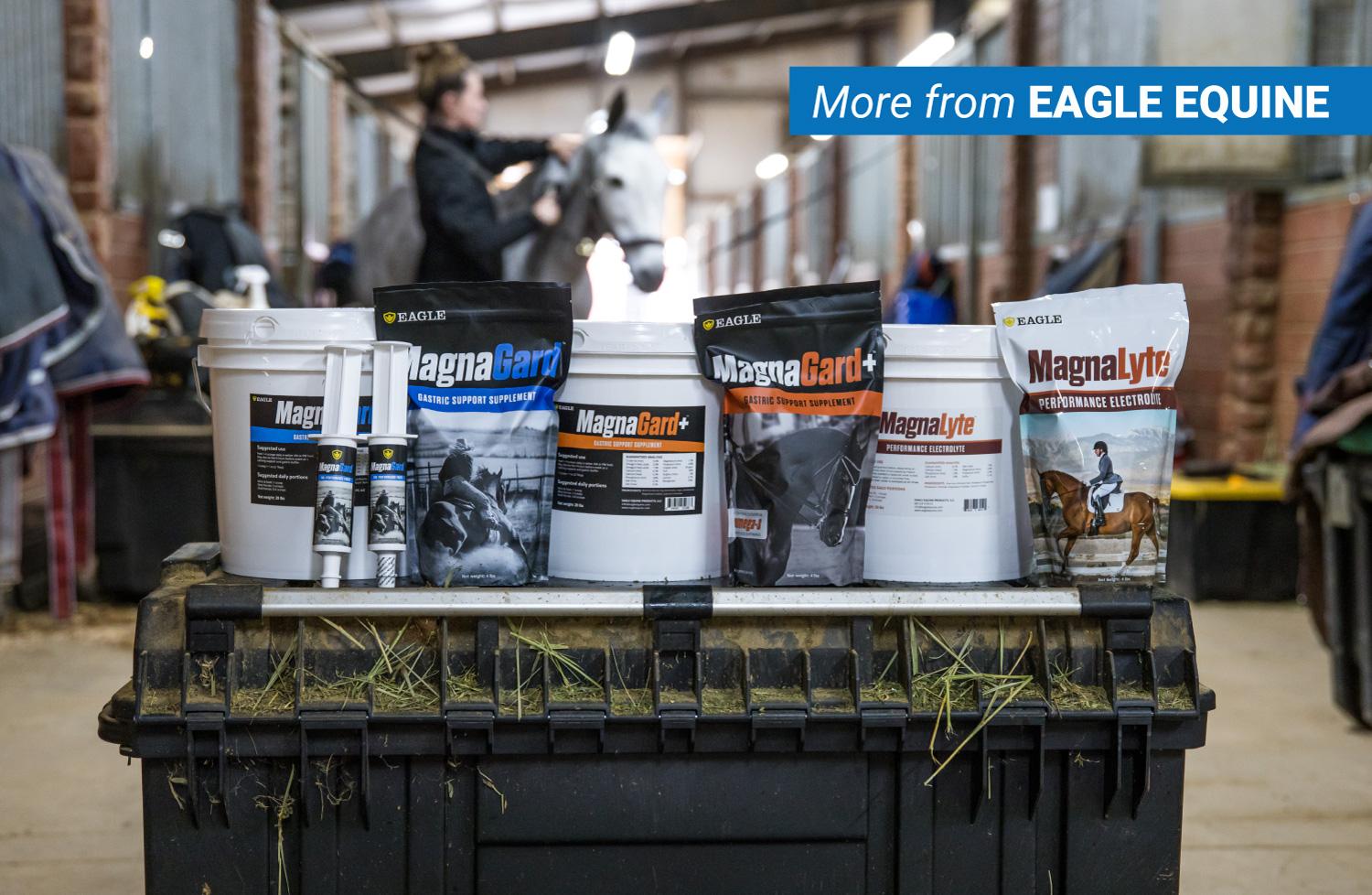 Plus Gastric Support Supplement for Horses with Omega 3s | Relieves Ulcers, Calming Supplement, Magnesium & Other Vital Minerals | Powder, 6 Pound Bag, 45-Day Supply | by Eagle Equine