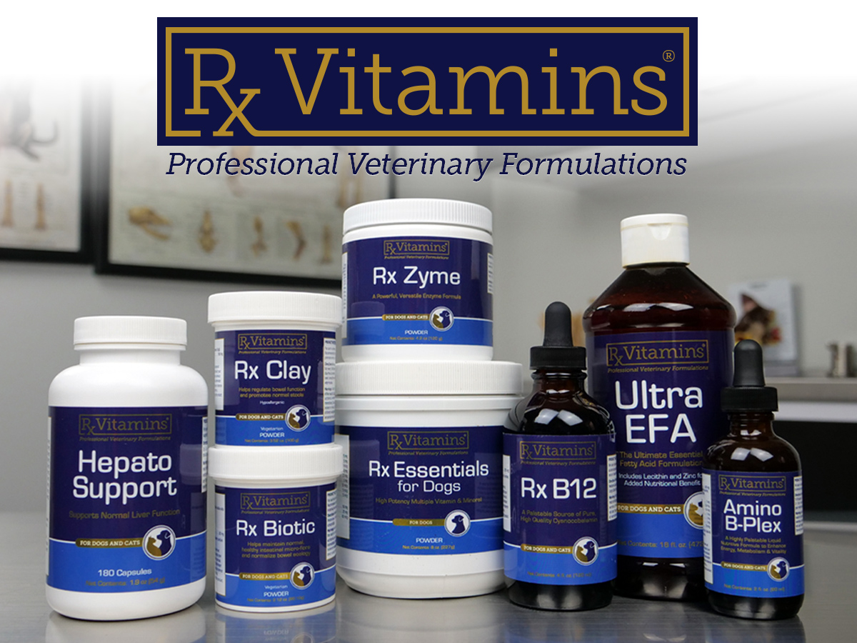 Rx Vitamins Renal Feline - Cat Kidney Support with Milk Thistle - 120ct