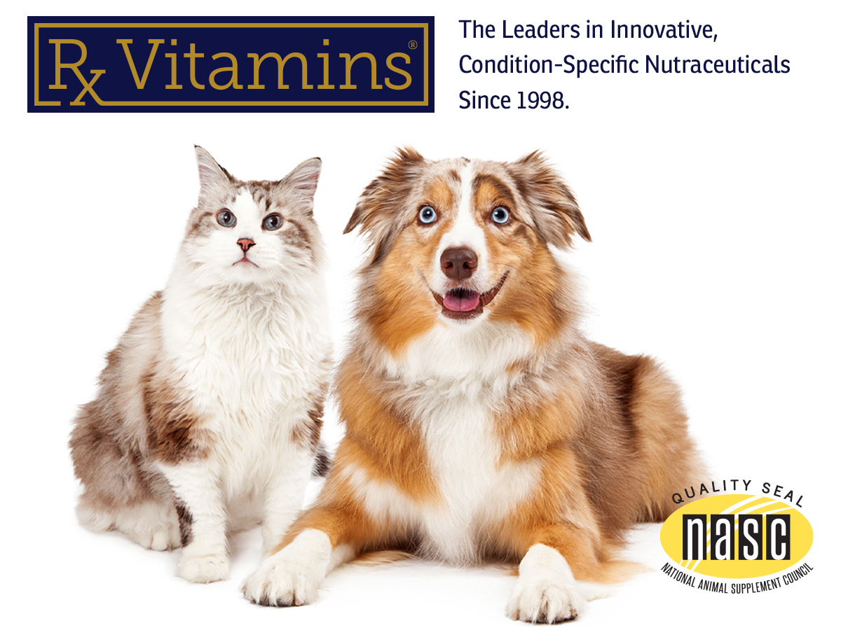 Rx Vitamins Renal Feline - Cat Kidney Support with Milk Thistle - 120ct