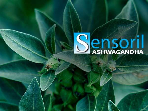 Nootropics Depot Sensoril Ashwagandha Capsules | 125mg | 90 Count | Ayurvedic Herb | Standardized Withania somnifera Extract