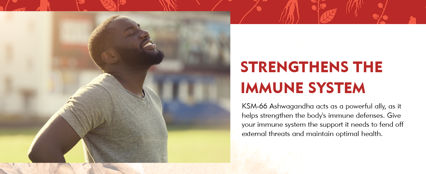 DailyNutra KSM-66 Ashwagandha 600mg Organic Root Extract - High Potency Supplement with 5% Withanolides | Relieves Tiredness, Supports Relaxation, Focus, Energy, & Muscle Growth (90 Capsules)