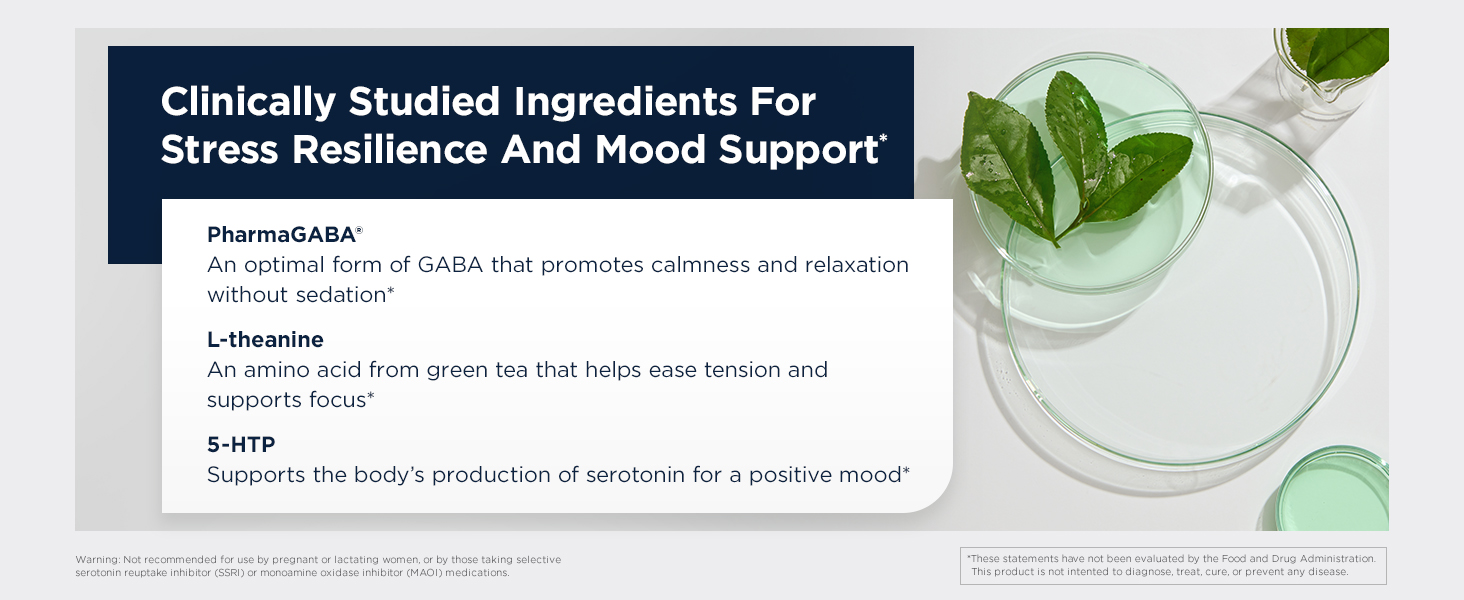 Designs for Health NeuroCalm - Supports Mood & Stress Relief with GABA, Inositol, L-Theanine, 5HTP, Vitamin B12 and B6, Taurine, Chamomile, Magnesium, and PharmaGABA - Gluten Free, Vegan (60 Capsules)