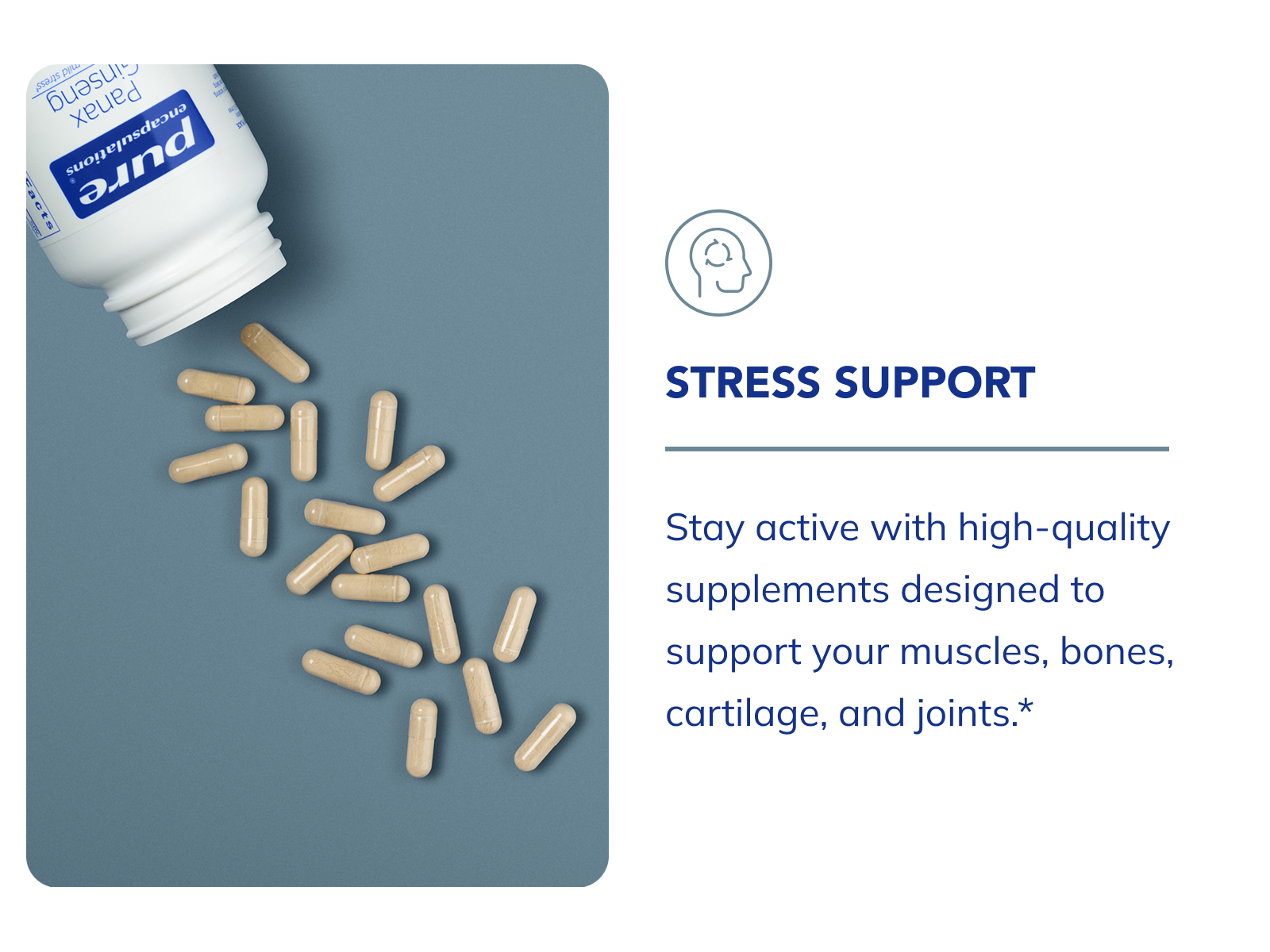 Pure Encapsulations Daily Calm, 60 Capsules