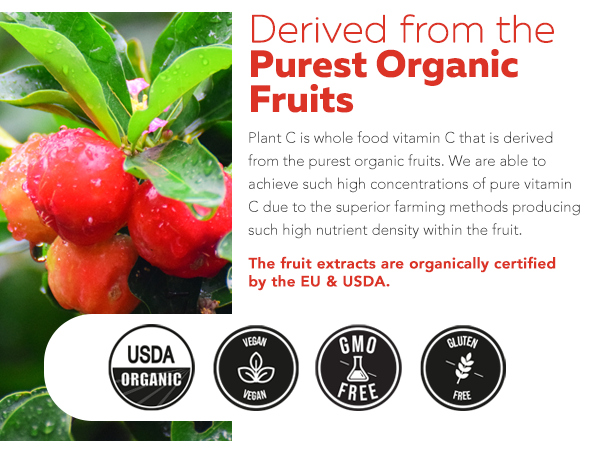Organic Whole Food Vitamin C from Fruit + Absorption Enhancing Cofactors