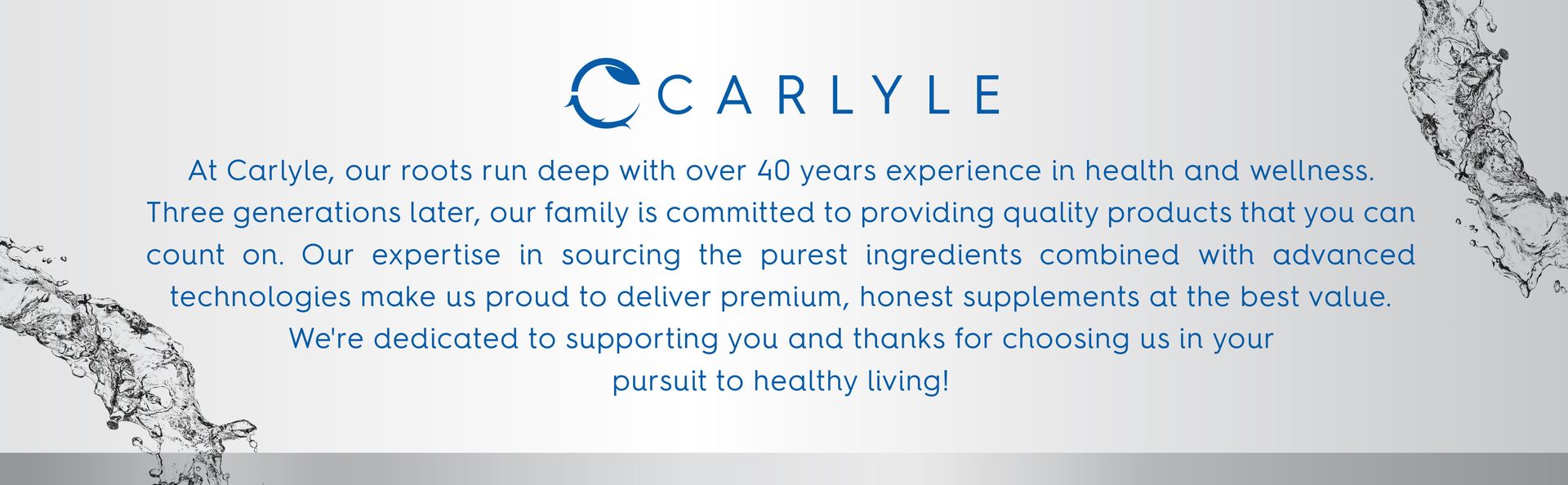 Carlyle Colloidal Silver Liquid | 10 PPM | 16 fl. Oz (473 mL) | with Nano Silver Technology Solutions | Vegetarian, Non-GMO, Gluten Free Supplement