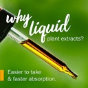 herb-pharm-vein-health-liquid-herbal-for-3.jpg
