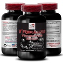 energy-recovery-booster-tribulus-terrest-2.jpg