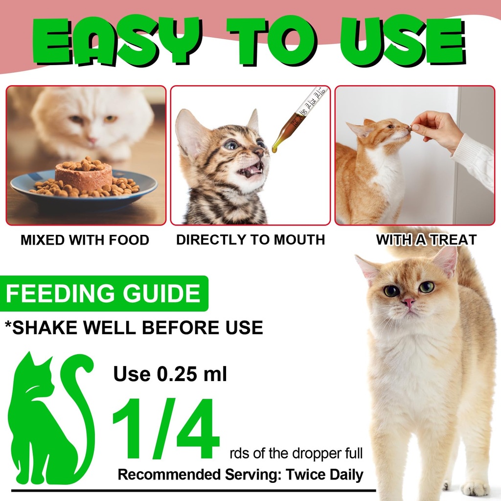 cat-urinary-tract-infection-treatment-ca-6.jpg