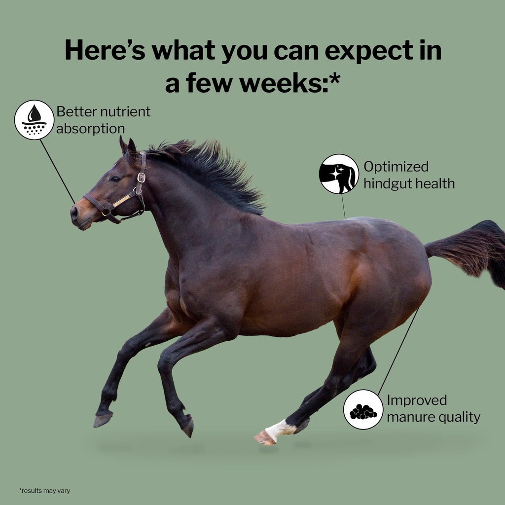 formula-707-digestive-health-supplement--71X1SWOfSFL.jpg