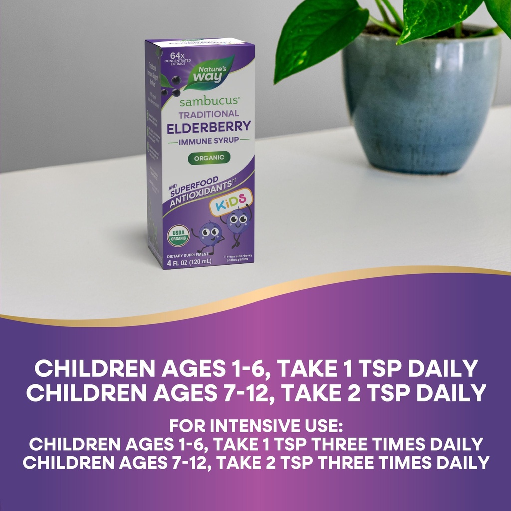 nature-s-way-kid-s-standardized-elderber-81j+hav7YsL.jpg