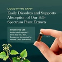 gaia-herbs-quick-defense-80-vegan-capsul-71Dau1iU82L.jpg