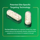 ibgard-with-vitamin-d-peppermint-oil-cap-71dcVvbCF2L.jpg