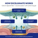 mpm-medical-excelginate-calcium-alginate-81urcSjaedL.jpg