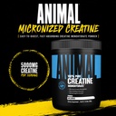 animal-creatine-monoydrate-powder-for-me-71fobjexd9L.jpg