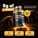 weightworld-sugar-free-creatine-monohydr-71OPW03E6iL.jpg