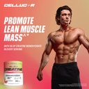 cellucor-creatine-powder-5g-creatine-per-812Q4wWG9GL.jpg