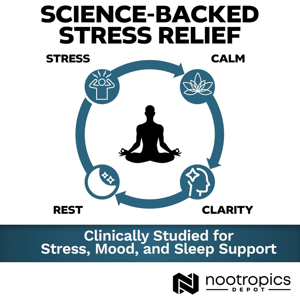 nootropics-depot-sensoril-ashwagandha-ca-71HbCrzQIKL.jpg