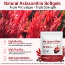 xaarty-premium-astaxanthin-12mg-antioxid-81WpOnNx-1L.jpg