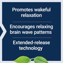 life-extension-theanine-xr-stress-relief-71oh8d6bjOL.jpg