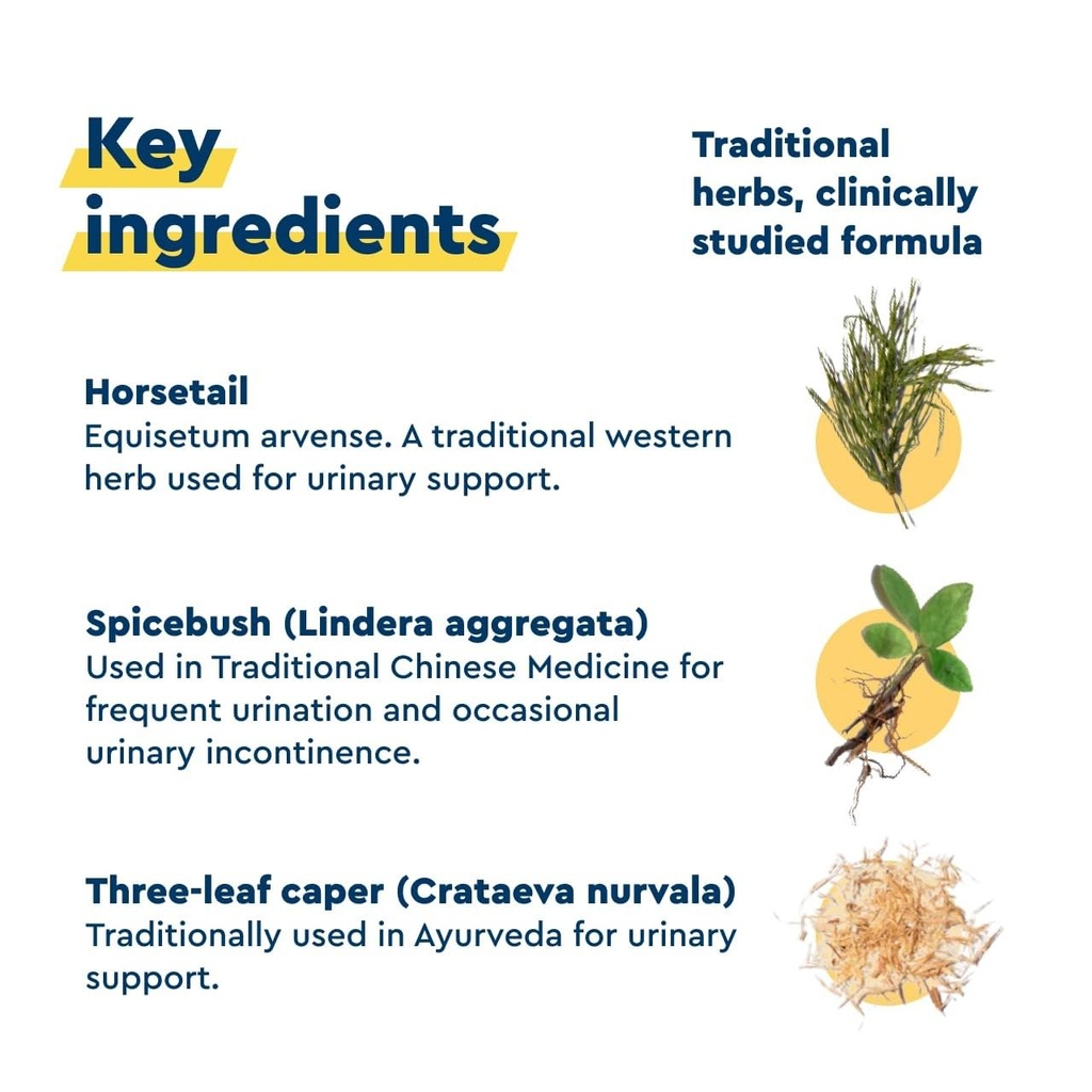 uqora-in-control-bladder-support-daily-b-4.jpg