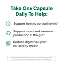 daily-nouri-stress-support-probiotics-fo-3.jpg