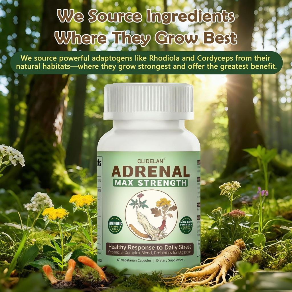 adrenal-support-supplements-for-daily-ba-4.jpg
