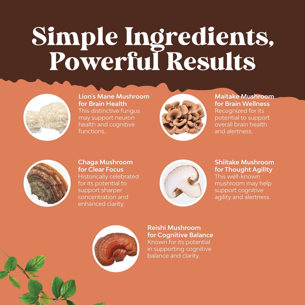 advanced-mushroom-complex-capsules-10x-l-5.jpg