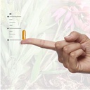 nature-s-answer-s-aloe-vera-phytogel-ant-6.jpg