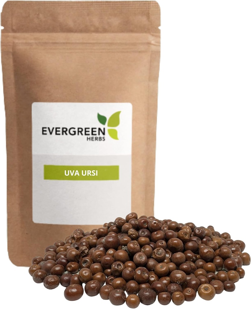 Ervas Evergreen Pinguica Fruto - Uva Ursi Fruit (8 onças) - Resealable Stand Up Pouch para garantir a frescura!