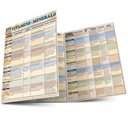 Vitaminas e Minerais: um Guia de Referência Rapid Study Laminated (Saúde Rapid Study)