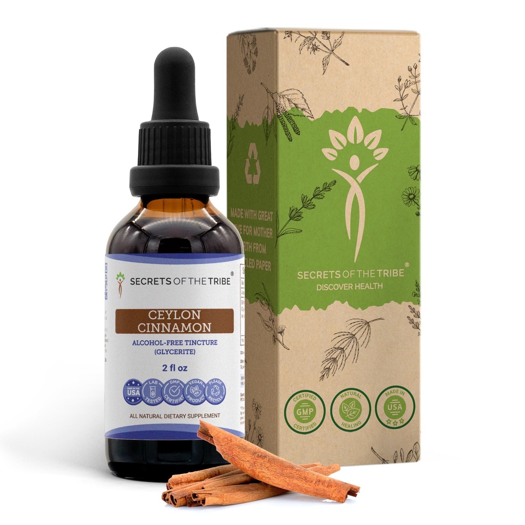 Segredos da tribo Ceilão Tintura de canela Extrato líquido sem álcool, Ceilão Canela (Cinamomum Verum) Bark seco (2 FL OZ)