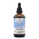Astragalus USDA Organic Alcohol-free Extract (Suplemento dietético, Tintura de alta potência) Natural Certified Organic Astragalus (Astragalus membranaceus) Dried Root (4 onças)