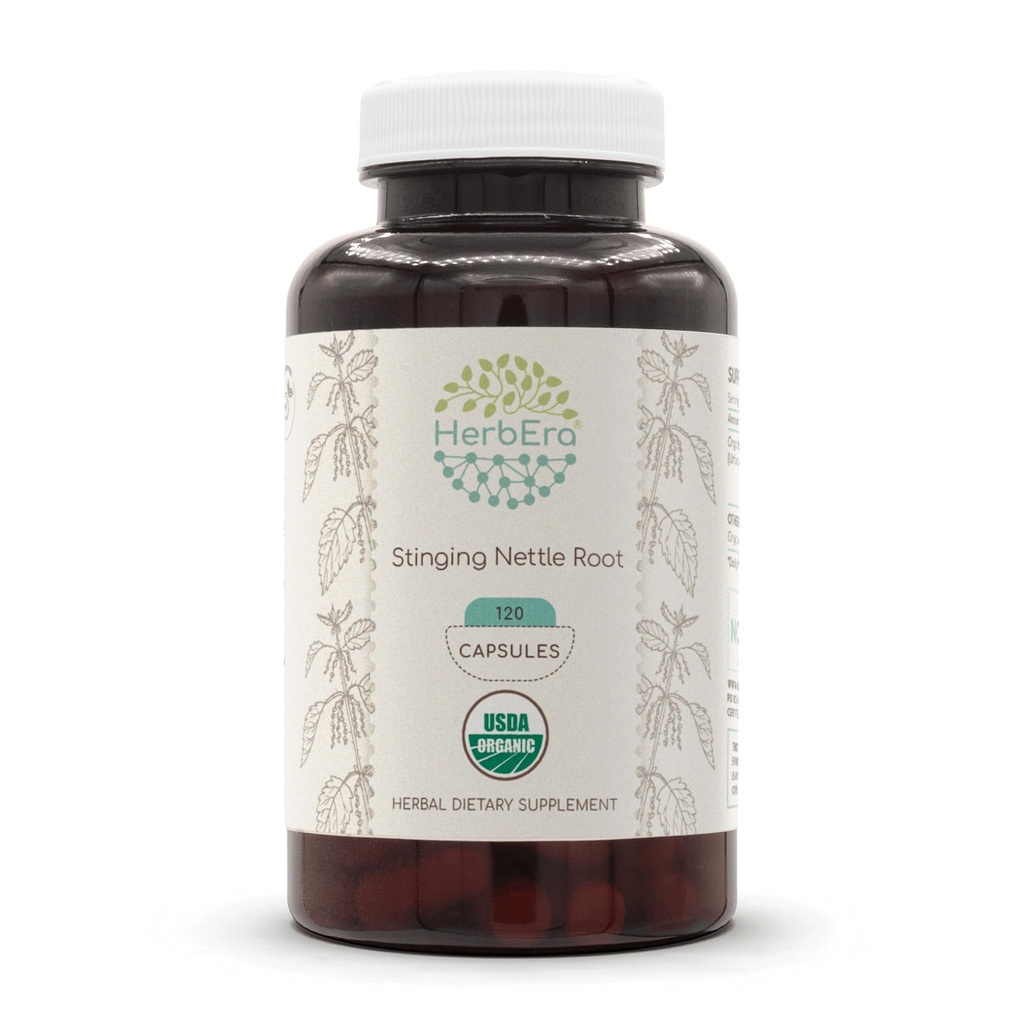 HerbEra Stinging Nettle Root USDA Organic 120 Cápsulas - Suplemento Natural de Ervas - Cápsulas Vegetares Orgânicas Certified e Urtica Dioica - Raiz Secada (120 Cápsulas)