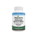Ervas reais Stinging Nettle Root Extract 7500mg (750mg de 10:1 Extract) – Vegetarian Friendly, Non-GMO, Gluten-Free – Suporta Próstata & Saúde Urinária – 100 Cápsulas