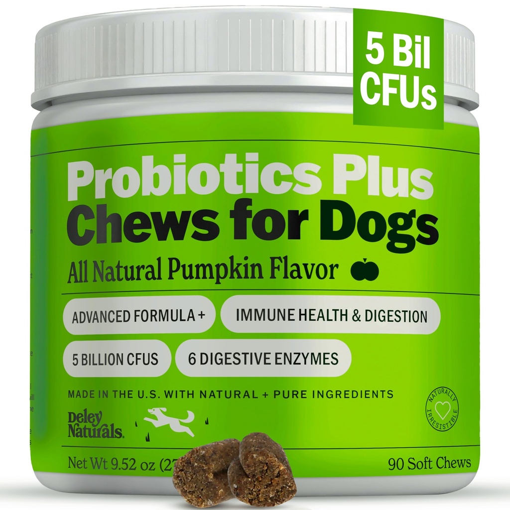 Deley Naturals Probióticos mais mastiga para cães, Gut Health Supplement, 5 bilhões de UFC, Enzimas Digestivas, Prebióticos, Alergias Dog, Diarréia, Levedo, Pumpkin Flavor, 90 Conde - Made in the USA