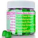 Moringa Irish Sea Moss Chlorophyll EGCg Green Tea Burdock Root Bladderwrack Super Greens Gummies, Cápsulas em pó Pills Liquid Drops Oil Tintura Suplemento Suplemento Suplementos Alt, Orgânico Verde Seamoss