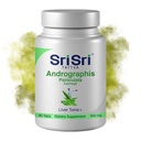 Andrographis Paniculata Supplements – 60 comprimidos Planta Based Herbals Respiratory Wellness – Imune Força Restaurativa Andrographis Tablets – 500 Mg Orgânico Verde Chiretta Herb