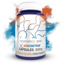 Nootropics Depot BaCognize Bacopa Monnieri 300mg Cápsulas (120 Count) Ayurvedic Herb Non-GMO, Gluten Free, and Vegetarian Friendly