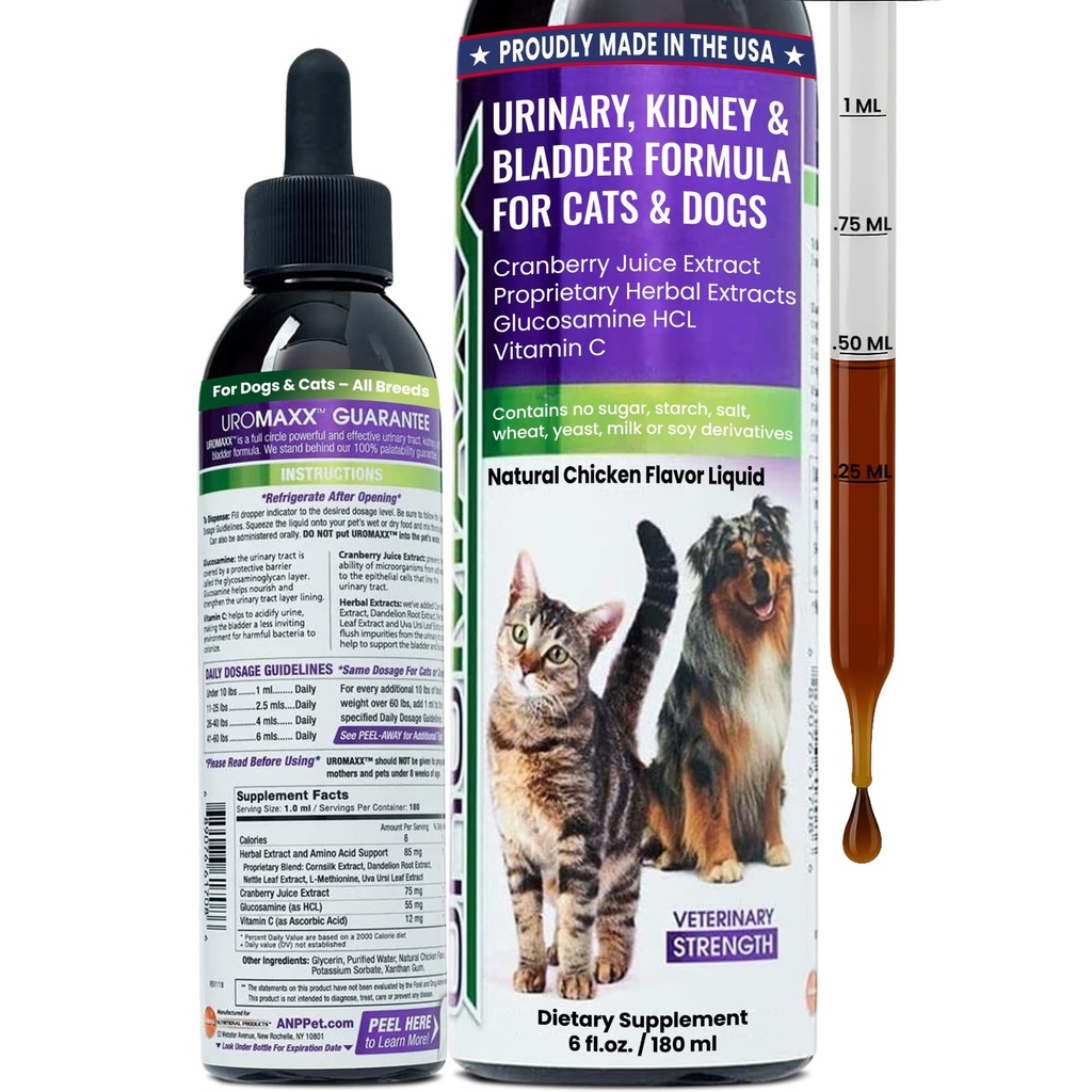 Tratamento Urinário de Gatos e Cachorros, Bexiga e Rim Suporte para Cães e Gatos, Cuidados Poderosos Mas Gentil Pet, com Cranberry líquido e Glucosamina, Sabor de frango, 6 oz garrafa, 1 embalagem