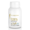 Biogena Pycnogenol 100 mg Ouro com Extrato de Pinho Marítimo Francês Patenteado Premium (Pinus Pinaster) para apoiar a circulação de sangue