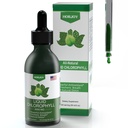 Chlorophyll Liquid Drops - 100% de energia natural impulsionador e apoio imunológico - Desodorante interno e desintoxicação - Altitude alívio da doença - rápida absorção, Vegan & não-GMO - 120 Servings (Pacote de 1)