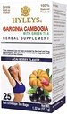 HYLEYS Chá Garcinia Cambogia Chá Verde com Acai Berry Flavor - 25 Sacos de Chá (12 Pack - 300 Sacos de Chá Total)
