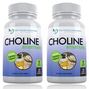 Colina Premium - 500 mg - 120 Cápsulas Veggie - Suporta Saúde Cognitiva, Memória & Mais - 2 Pack
