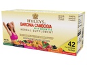 HYLEYS chá Garcinia Cambogia chá verde com sabores variados - 42 sacos de chá
