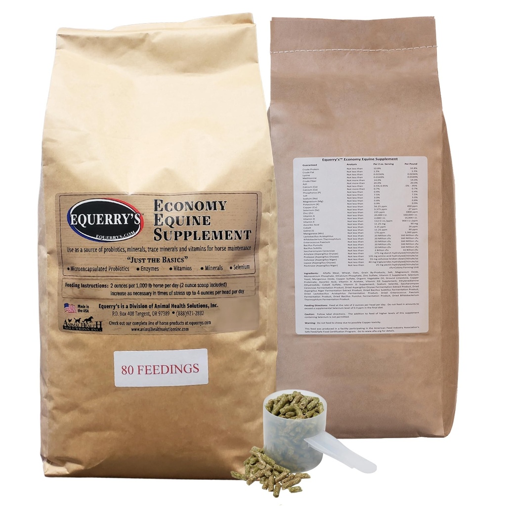 Equídeo Economy Supplement - Probióticos de Cavalos Suplemento para Cavalos Suplemento de Vitaminas de Cavalo e Minerais com Enzimas e Selênio, 10lb