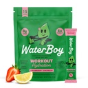 Waterboy exercitar a hidratação do açúcar livre de 2,960mg em pó de eletrolite Packets (L-Glutamina + Vitaminas) sem açúcar, Todos naturais, Glúten livre       , 15 bebidas Stick Mixes (Strawberry Limonada)