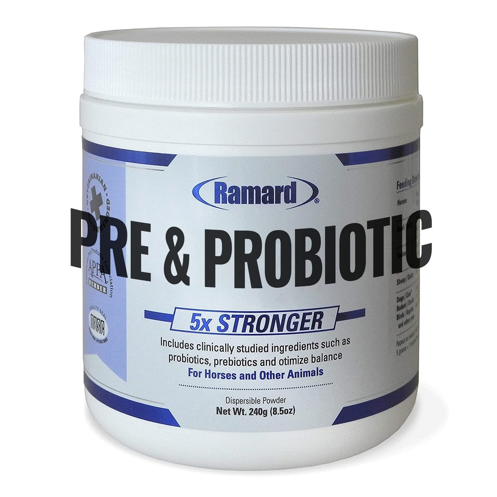 Ramard Total Prebiótico & Probiótico Fórmula Equina - Suplemento Digestivo Natural para Cavalos Saúde de Gut Optimal, Absorção Nutriente, Suporte de Potro Pro & Pré Biotics para Pecuária e Cavalo Jar 8.5 oz